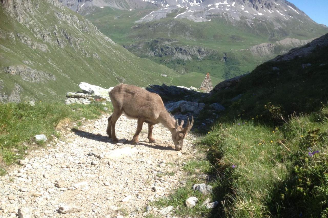 Vacation Rental - Pralognan La Vanoise Savoie 외부 사진